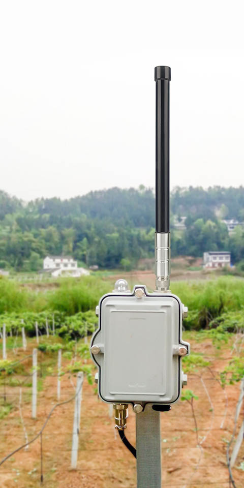 Automobile manufacturing and processing